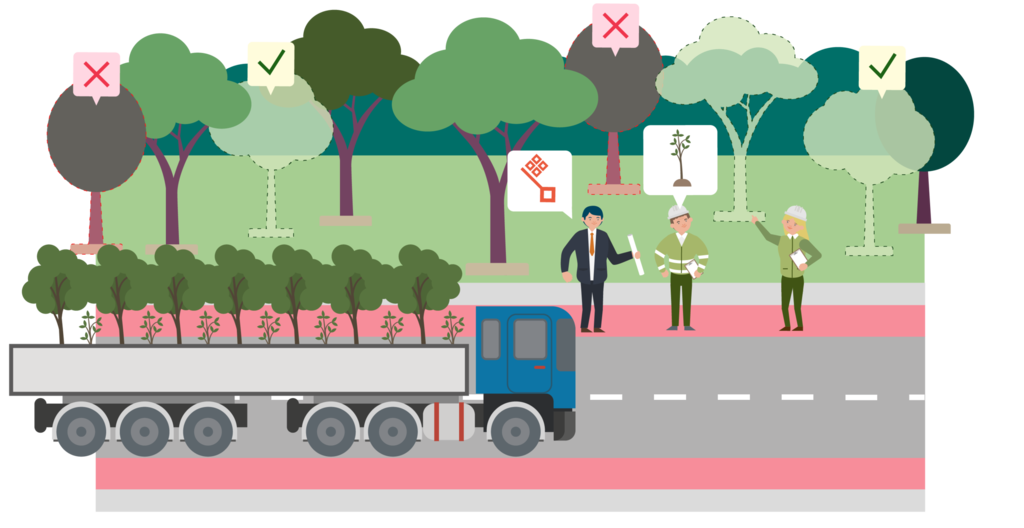 Illustration: Ein LKW ist mit Bäumen beladen und fährt an einer Wiese entlang, an der die Bäume entnommen wurden und Planer:innen einer künftigen Straßenbahnlinienbaustelle stehen. 
